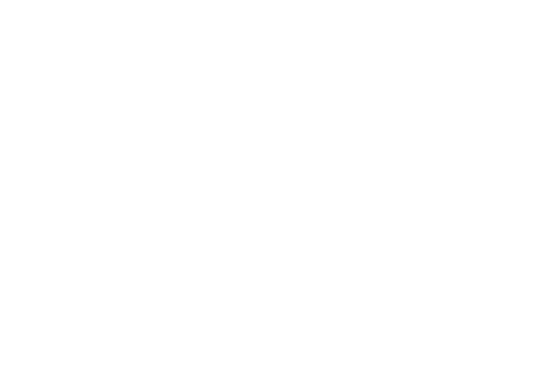 Burney Wealth Mangement